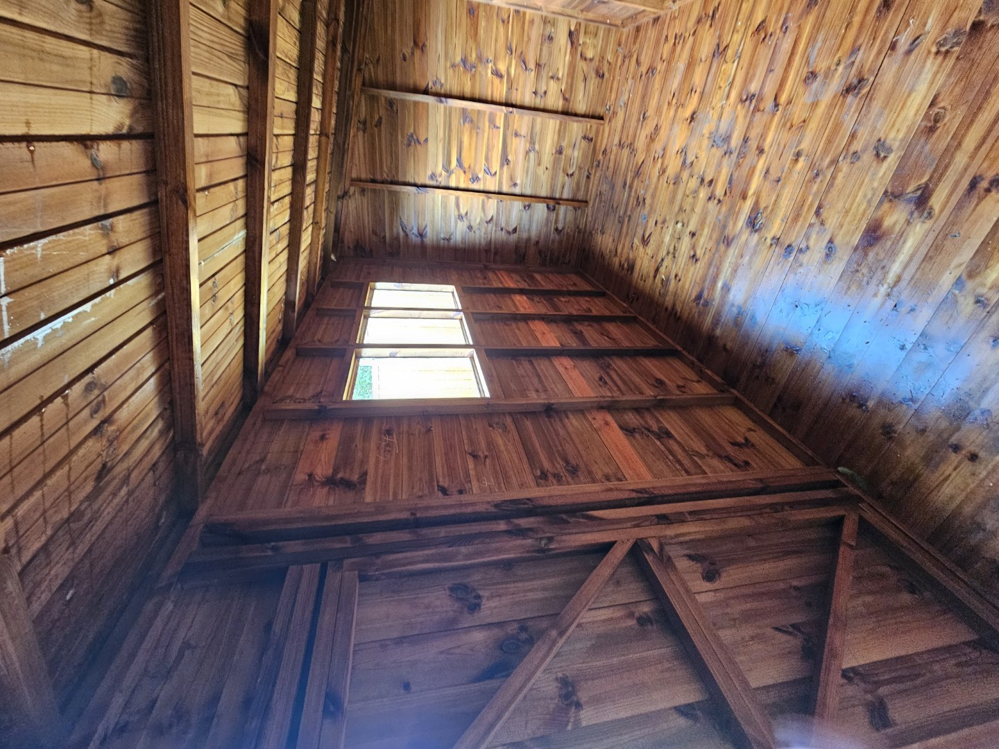 Interior of the 14 by 6 Solihull Pent Tanalised shed showing its strong timber framework and natural light