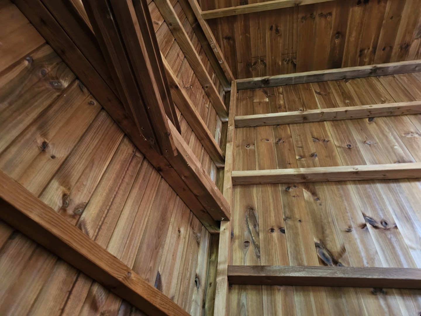 Roof truss and internal timber structure inside the Southampton Hipex Beast shed