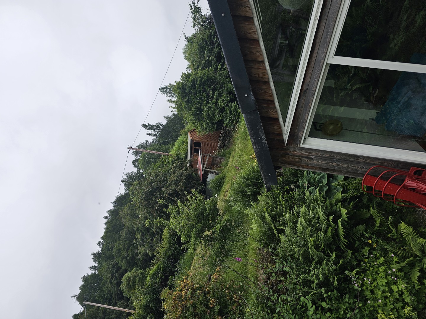 View up the steep Southampton garden towards the shed installation site