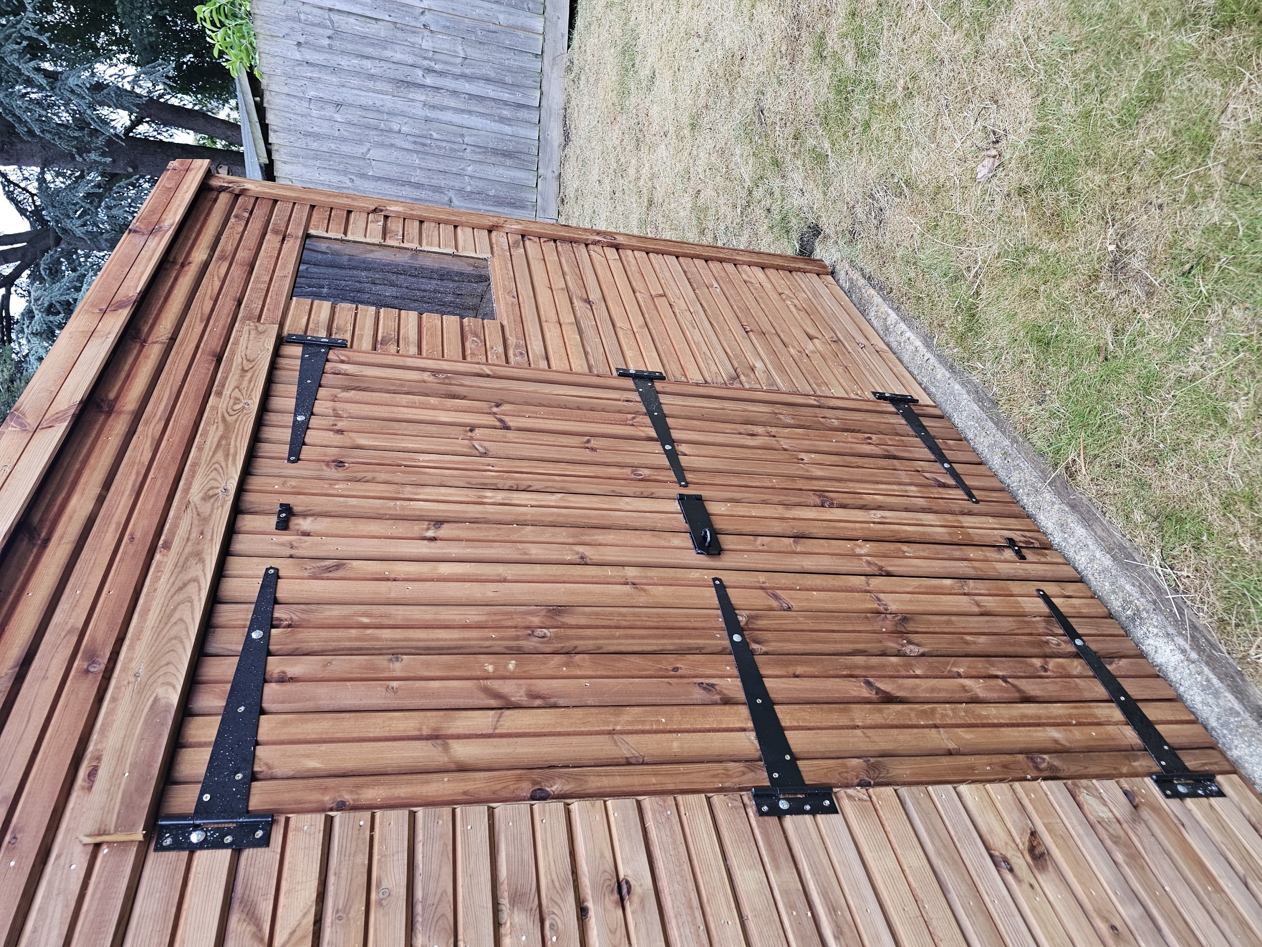 5ft double Beast shed doors