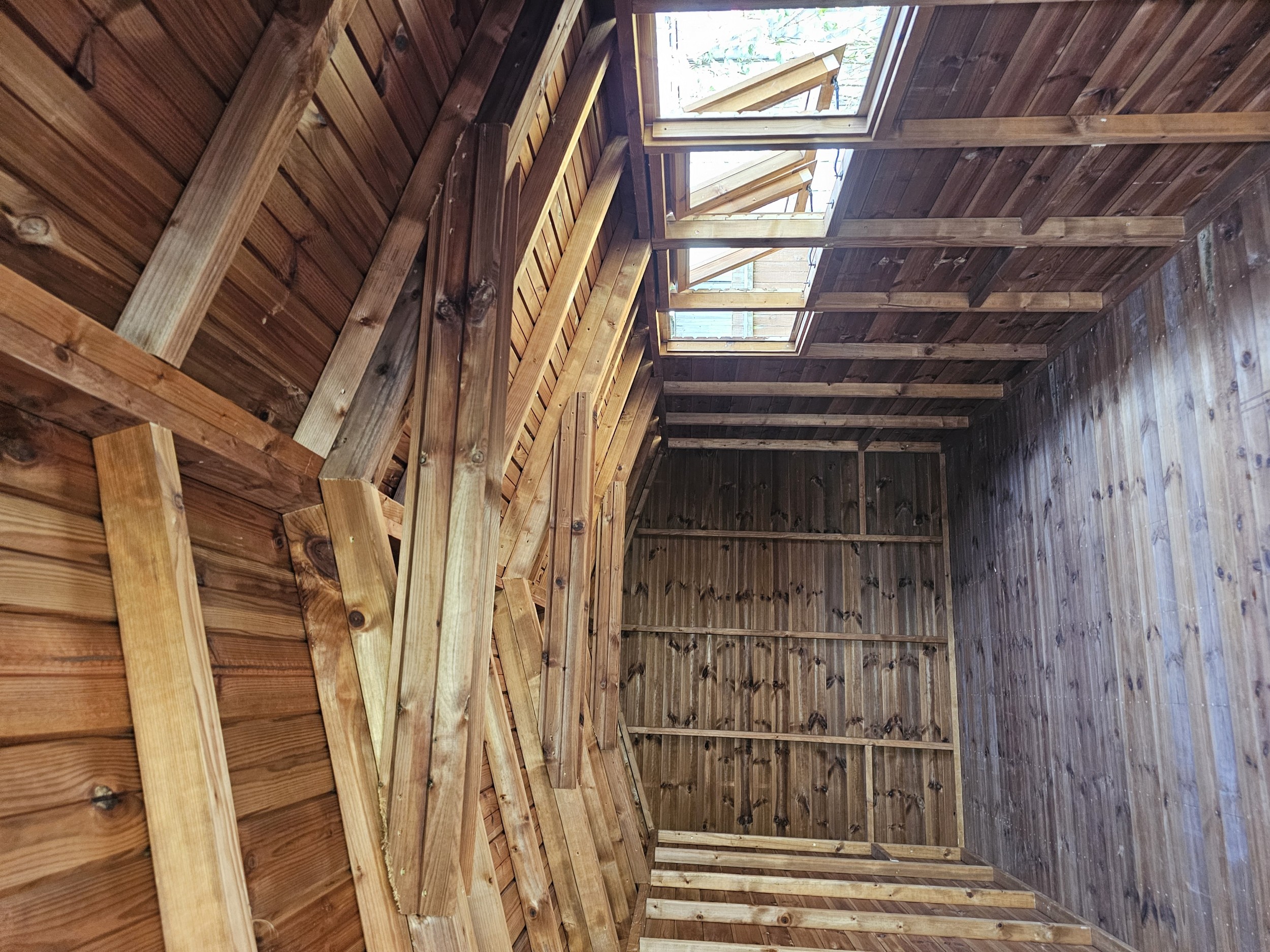 Beast 3 by 2 framework inside a shed