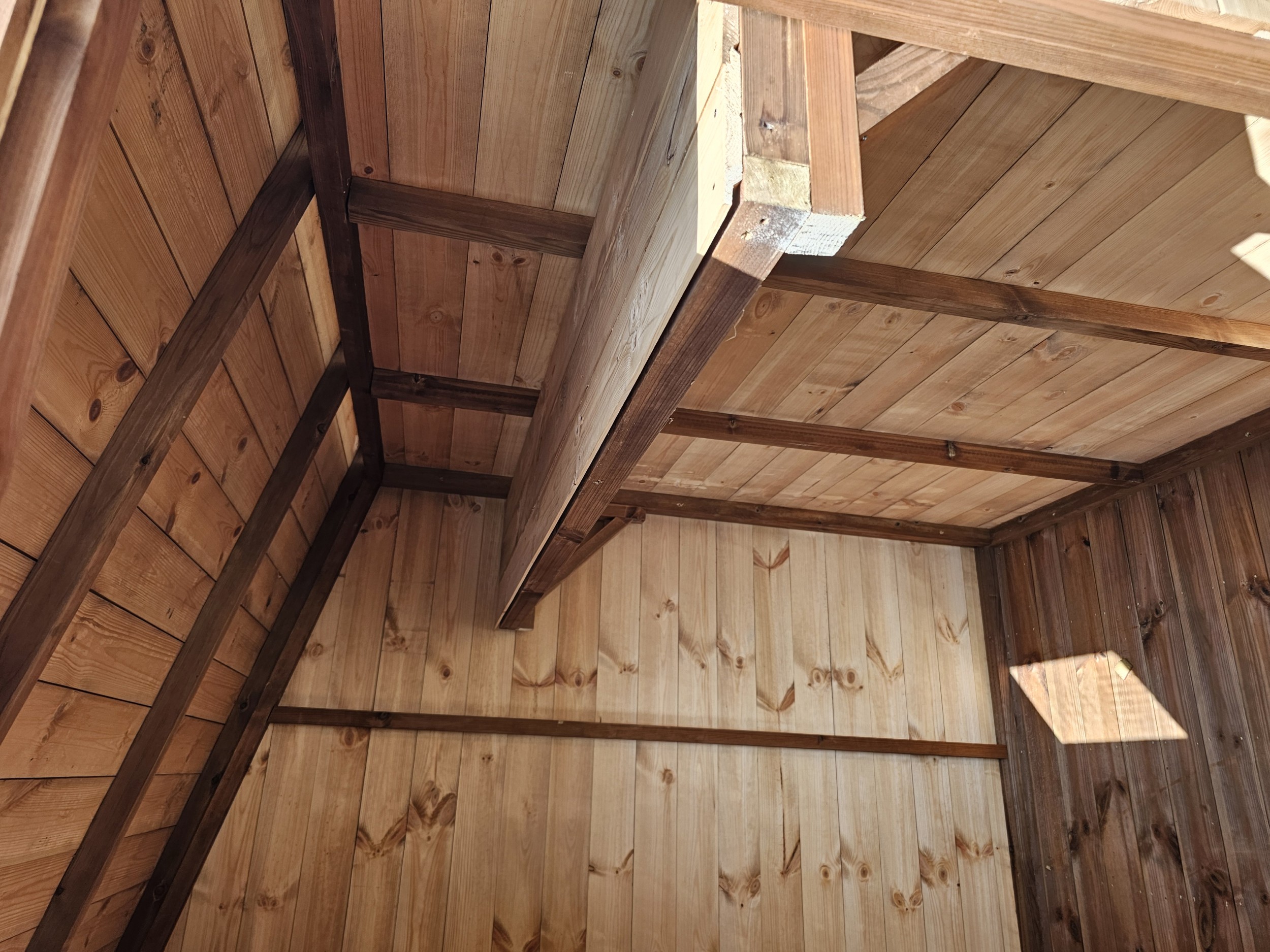 Timber shelving inside a shed
